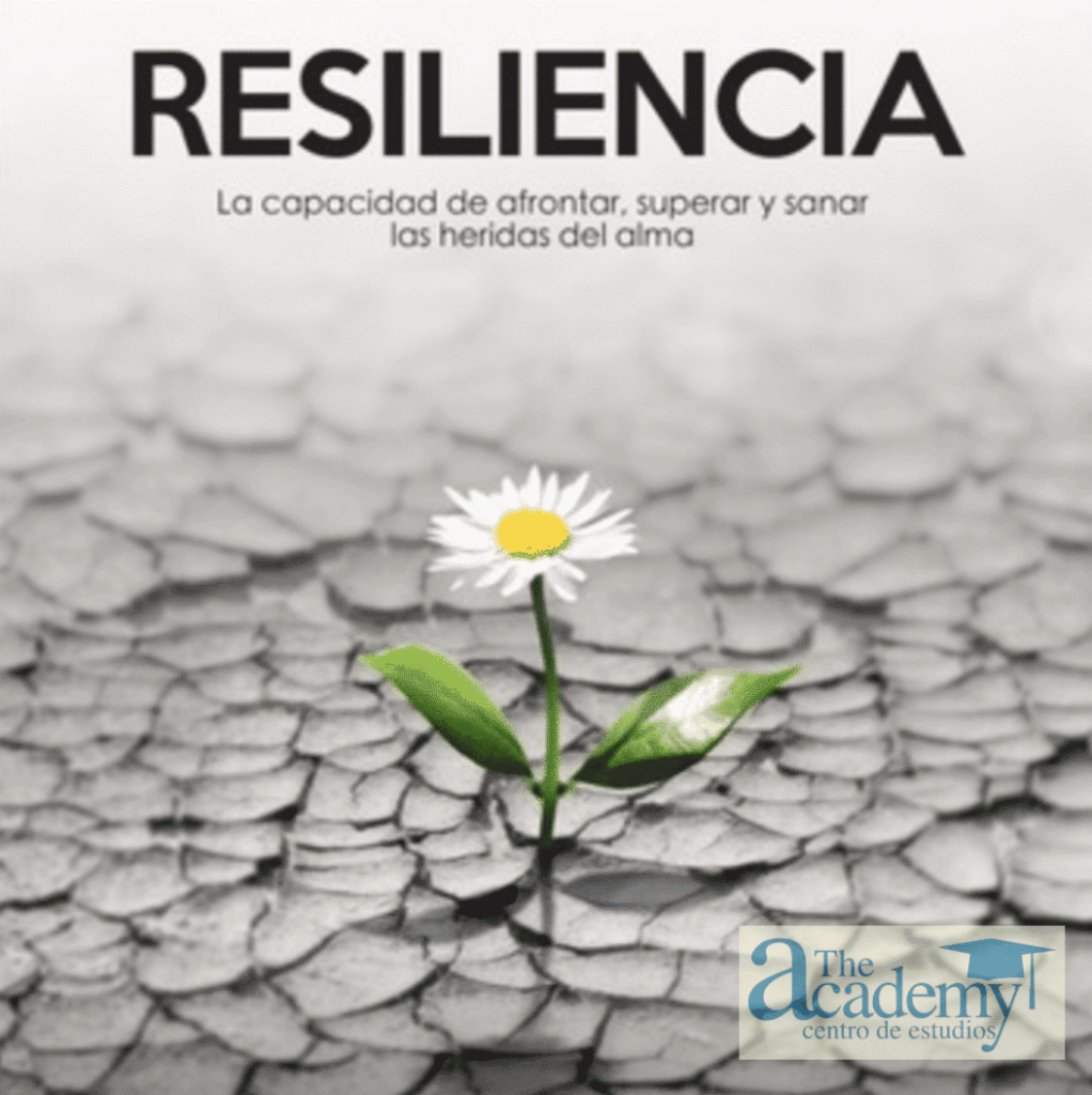 Resiliencia Academias Granada The Academy